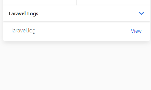 Laravel Logs